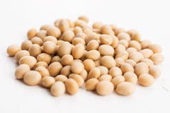 soybeans foto de stock soybeans foto de stock