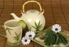 Spa Royalty Free Stock Photography Spa Royalty Free Stock Photography