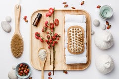 Spa behandlingbegrepp, plan lekmanna- sammansättning med naturliga kosmetiska produkter och massageborstar arkivfoto Spa behandlingbegrepp, plan lekmanna- sammansättning med naturliga kosmetiska produkter och massageborstar arkivfoto