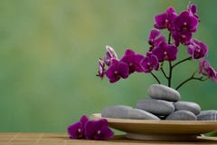 Spa Stones With Orchid Stock Photography