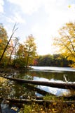 Spadek dalej Oczkuje jezioro, Brown okręg administracyjny stanu park, Indiana obraz stock Spadek dalej Oczkuje jezioro, Brown okręg administracyjny stanu park, Indiana obraz stock