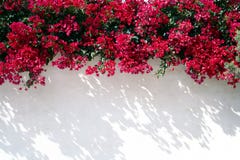 Spanish wall With flowers
