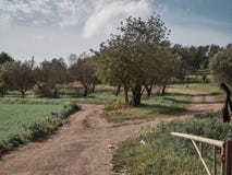 Sparato di una strada rurale in un giorno soleggiato fotografia stock libera da diritti Sparato di una strada rurale in un giorno soleggiato fotografia stock libera da diritti