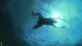 Spearfishing im blauen Meerwasser lizenzfreies stockbild Spearfishing im blauen Meerwasser lizenzfreies stockbild