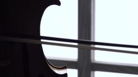Spela violoncellslutet upp mot fönstret close upp arkivfilmer Spela violoncellslutet upp mot fönstret close upp arkivfilmer