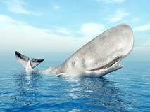 Sperm Whale Royalty Free Stock Photography