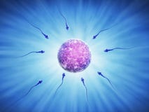 Spermatozoïdes humains pendant la fertilisation Image libre de droits Spermatozoïdes humains pendant la fertilisation Image libre de droits