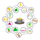 Spezie per t? Insieme di vettore di cannella e chiodi di garofano e cardamomo illustrazione di stock Spezie per t? Insieme di vettore di cannella e chiodi di garofano e cardamomo illustrazione di stock