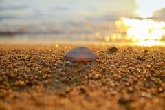Spiaggia tropicale di tramonto Bello fondo fotografia stock Spiaggia tropicale di tramonto Bello fondo fotografia stock