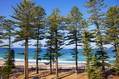 Spiaggia virile Australia immagini stock Spiaggia virile Australia immagini stock