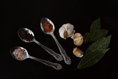 Spices and pepper with garlic in spoons royalty free stock photo Spices and pepper with garlic in spoons royalty free stock photo