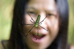 Spider horror royalty free stock images Spider horror royalty free stock images
