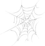 Spider Web Royalty Free Stock Photography