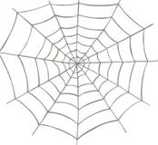 Spider Web Stock Photo