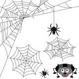 Spider Web Set