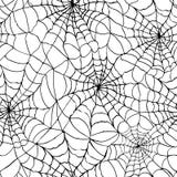 Spider web texture background
