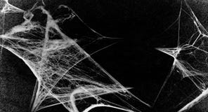 Spiderwebs που απομονώνεται στο μαύρο υπόβαθρο grunge Ιστός αράχνης στη γωνία Συμβαλλόμενο μέρος αποκριών στοκ εικόνα με δικαίωμα ελεύθερης χρήσης Spiderwebs που απομονώνεται στο μαύρο υπόβαθρο grunge Ιστός αράχνης στη γωνία Συμβαλλόμενο μέρος αποκριών στοκ εικόνα με δικαίωμα ελεύθερης χρήσης
