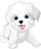 Spielerischer Lap-dog vektor abbildung Spielerischer Lap-dog vektor abbildung
