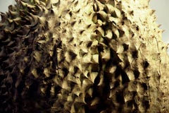 Spina del Durian del primo piano immagine stock libera da diritti Spina del Durian del primo piano immagine stock libera da diritti