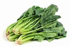 Spinach Royalty Free Stock Photography