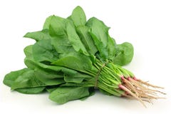 Spinach. Fresh spinach in a white background Spinach. Fresh spinach in a white background