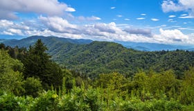 Sping In The Great Smoky Mountains royalty free stock photo Sping In The Great Smoky Mountains royalty free stock photo