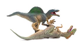Spinosaurus fights with allosaurus on white background stock photos Spinosaurus fights with allosaurus on white background stock photos