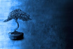 Spiritual Knowledge Philosophy Bonsai Background Stock Image Spiritual Knowledge Philosophy Bonsai Background Stock Image