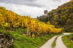 Spitz castle with autumn vineyard in Wachau valley, Austria. stock photos Spitz castle with autumn vineyard in Wachau valley, Austria. stock photos