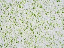 Sponge background stock photo Sponge background stock photo