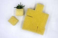 A sponge preparing to be planted in hydroponics vegetable plots, the cube sponge, Isolated white background royalty free stock photography A sponge preparing to be planted in hydroponics vegetable plots, the cube sponge, Isolated white background royalty free stock photography
