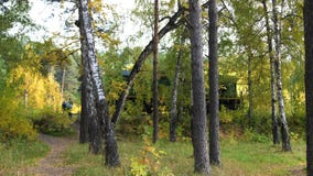 Spoorwegovergang De familie bevindt zich dichtbij de spoorweg en bekijkt de voorbijgaande locomotief Autumn Park, schilderachtig stock footage Spoorwegovergang De familie bevindt zich dichtbij de spoorweg en bekijkt de voorbijgaande locomotief Autumn Park, schilderachtig stock footage