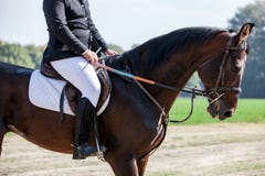 Head shot closeup of a dressage horse during competition event. Color, equestrian. royalty free stock images Head shot closeup of a dressage horse during competition event. Color, equestrian. royalty free stock images