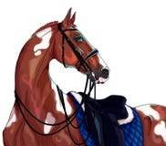Sporta dressage koń royalty ilustracja Sporta dressage koń royalty ilustracja