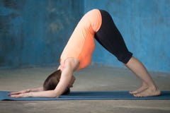 Sportliche schöne junge Frau, die Delphinhaltung tut stockbild Sportliche schöne junge Frau, die Delphinhaltung tut stockbild