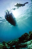 Sporttauchentaucher-Sonnenschein kapoposang Sulawesi Indonesien Unterwasser Lizenzfreies Stockbild Sporttauchentaucher-Sonnenschein kapoposang Sulawesi Indonesien Unterwasser Lizenzfreies Stockbild