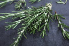Sprigs of rosemary tied with string on a dark gray background stock photography Sprigs of rosemary tied with string on a dark gray background stock photography