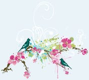 Spring Background Stock Image