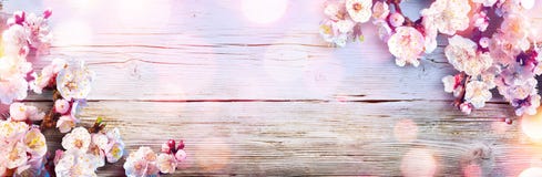 Spring Banner - Pink Blossoms
