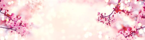 Spring border or background art with pink blossom. Beautiful nature scene with blooming tree Stock Photo Spring border or background art with pink blossom. Beautiful nature scene with blooming tree Stock Photo