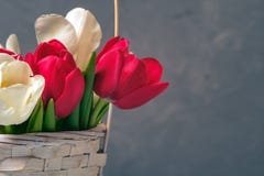 Spring bouquet of tulips in basket on vintage backdrop. Banner template with copyspace for Womans or Mother day, Easter, spring h stock image Spring bouquet of tulips in basket on vintage backdrop. Banner template with copyspace for Womans or Mother day, Easter, spring h stock image