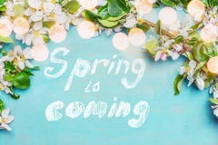 Spring is coming text , spring blossom twigs with bokehlighting on blue turquoise background, top view, border. Springtime stock photo Spring is coming text , spring blossom twigs with bokehlighting on blue turquoise background, top view, border. Springtime stock photo