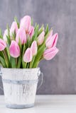 Spring Easter Tulips In Bucket On White Vintage Background. Royalty Free Stock Photo