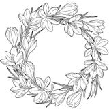 Spring flower wreath of crocuses. Vector elements isolated. Black and white image for adult relaxation. Image for design of cards royalty free illustration Spring flower wreath of crocuses. Vector elements isolated. Black and white image for adult relaxation. Image for design of cards royalty free illustration