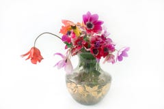 Spring Flowers Royalty Free Stock Images Spring Flowers Royalty Free Stock Images
