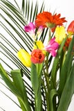 Spring Flowers Bouquet Stock Image Spring Flowers Bouquet Stock Image