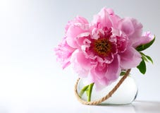 Spring flowers in vase on white background