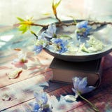Spring flowers on wooden dish set with a book near a window Royalty Free Stock Photography Spring flowers on wooden dish set with a book near a window Royalty Free Stock Photography