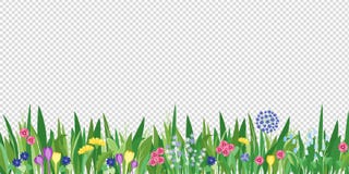 Spring garden grass and flowers border. Cartoon vector flower background. Green elements on transparent background