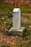 Spring Gravestone with Blossoms Stock Image Spring Gravestone with Blossoms Stock Image